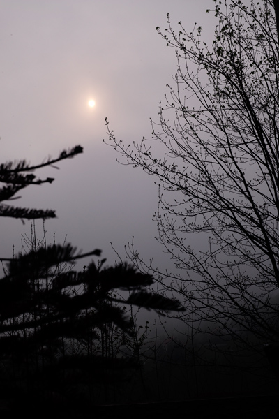 613 :: Morning fog
